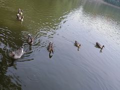 -石家庄市动物园