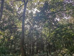 -杭州半山国家森林公园