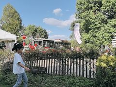 -同里国家湿地公园