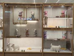 -翊宠yipet猫狗购宠庄园犬舍•猫舍