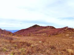 -白草畔自然风景区