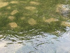 -南翔镇银翔湖公园