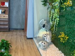 -了不起的考拉咖啡店(高新店)