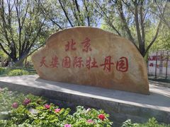 -太阳宫公园