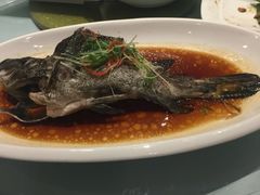 -上海外滩雅致酒店