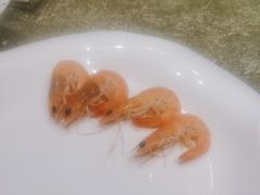 -粤珍轩·家宴·广式茶点(新城广场店)