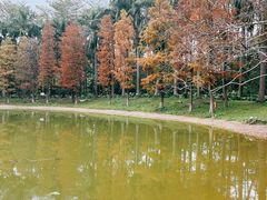 -华南师范大学(广州大学城校区)