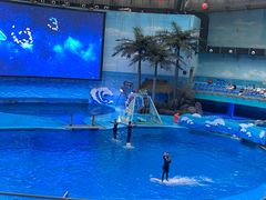 -海合安成都极地海洋公园