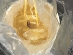 -强能鱼圆(清远店)