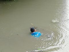 -大湾区中央湿地公园