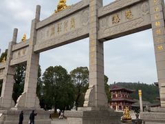 -庐山风景名胜区-东林大佛