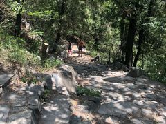 -阳台山自然风景区