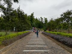 -苏家围·东江画廊旅游景区