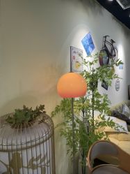 -变美丽半永久纹眉连锁·机器野生眉•洗眉