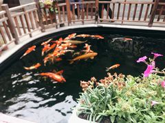 -华庭苑农家乐(旺山店)