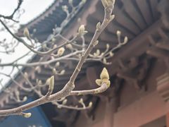 -横山寺