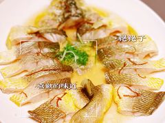 东海黄花鱼-金悦轩海鲜酒家(拱北店)