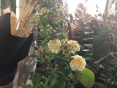 -参差咖啡(水果湖公园店)
