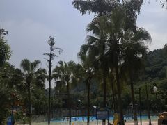 -重庆海昌加勒比海水世界