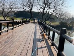 -八卦田遗址公园