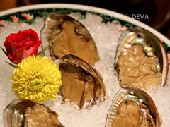 手工冰镇鲍鱼-木棉·醉心粤味(COCO Park店)