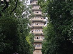 -灵谷景区