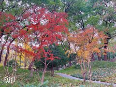 -徐家汇源景区-衡山公园