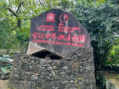 -海口火山口国家地质公园