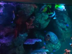 -沈阳海洋探索中心