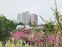 -堤角公园