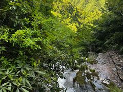 -鹿院坪生态旅游景区