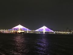-武汉两江游览·夜游长江(汉口粤汉码头)