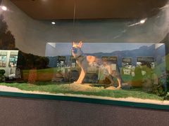 -上海公安博物馆