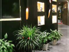 -丁老爷子苏香圆