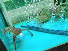 -鲜味食族水产·海鲜餐厅