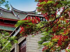 -厦门大学(思明校区)