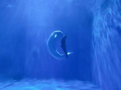 -多彩贵州城极地海洋世界