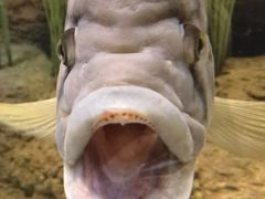 -上海海洋水族馆