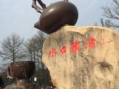-长兴慧子土特产茶行