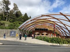 -怀托摩萤火虫洞