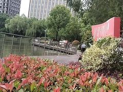 -南翔镇银翔湖公园