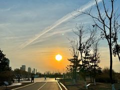 -哈尔滨音乐公园