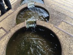 -重庆市巴渝学校