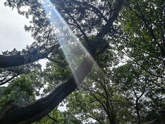 -上方山云水洞