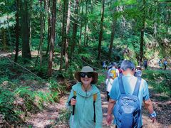 -素山寺森林公园