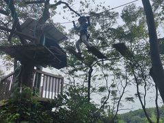 -芦仙山景区-飞越丛林探险乐园