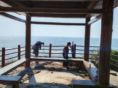 -广东惠东海龟国家级自然保护区