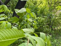 -长春市南湖公园