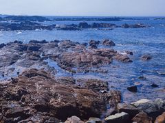 -青岛第二海水浴场