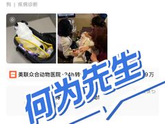 -美联众合动物医院·24h转诊中心